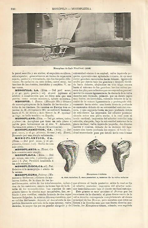 LAMINA ESPASA 8555: Monoplano de L. mouillard de 1896