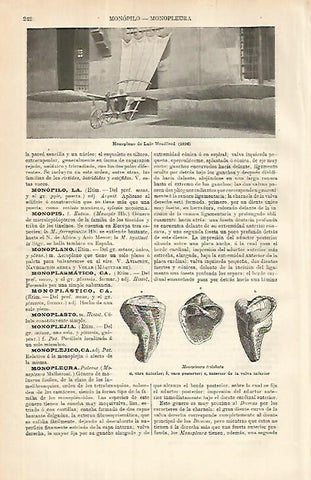 LAMINA ESPASA 8555: Monoplano de L. mouillard de 1896
