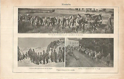 LAMINA ESPASA 8587: Tropas alemanas de montaña