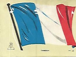 CROMO COLECCION UNIVERSAL 1920: BANDERA CAMERUN. Numero 63