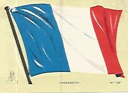 CROMO COLECCION UNIVERSAL 1988: BANDERA MADAGASCAR. Numero 247