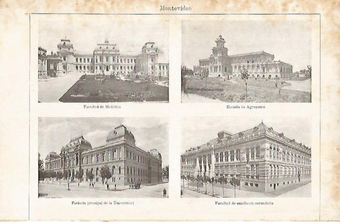 LAMINA ESPASA 8659: Universidad de Montevideo Uruguay