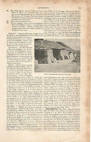 LAMINA ESPASA 8703: Taller de piedras litograficas del Montsech Barcelona