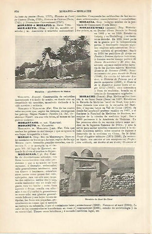 LAMINA ESPASA 8729: Morabito en Biskra y Beni Bu Ifrur