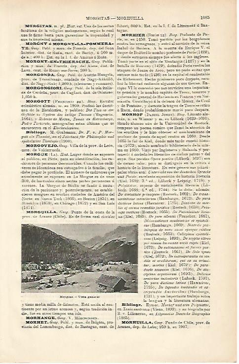 LAMINA ESPASA 8762: Vista general de Morgins Suiza