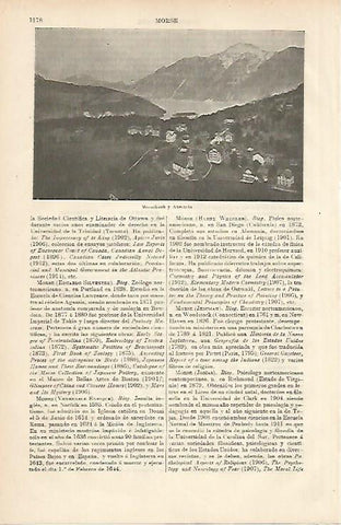 LAMINA ESPASA 8783: Morschach y Axestein