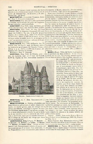 LAMINA ESPASA 8792: Castillo de la O en Mortree Francia