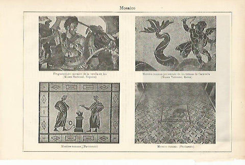 LAMINA ESPASA 8795: Mosaicos romanos