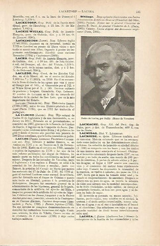 LAMINA ESPASA 8895: Pedro de Laclos por Bailly
