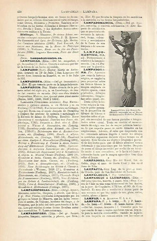 LAMINA ESPASA 8950: Lampadoforo por Donatello