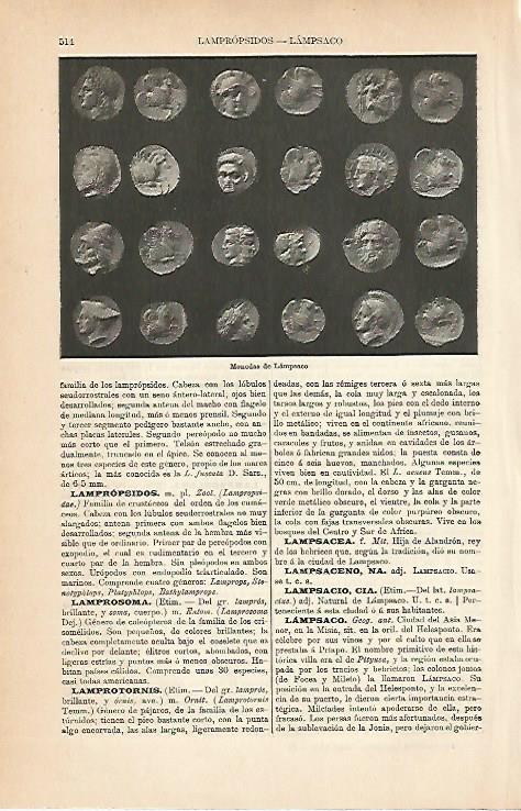 LAMINA ESPASA 8965: Monedas de Lampsaco Turquia