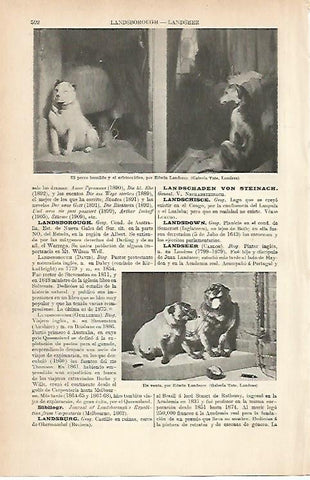 LAMINA ESPASA 8976: Obras de E. Landseer