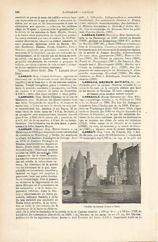 LAMINA ESPASA 9026: Castillo de Lassay Francia