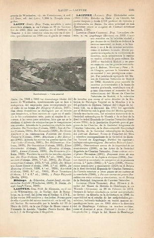 LAMINA ESPASA Alemania 9048: Vista general de Laufenburg Alemania