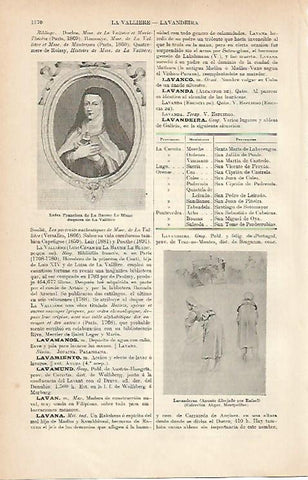 LAMINA ESPASA 9065: Luisa Francisca de La Baume duquesa de La Valliere