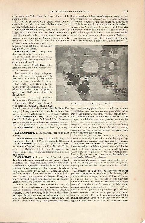 LAMINA ESPASA 9066: Las lavanderas de Quimperle por Thaulow