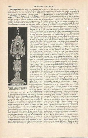 LAMINA ESPASA 9146: Relicario de Padua Italia