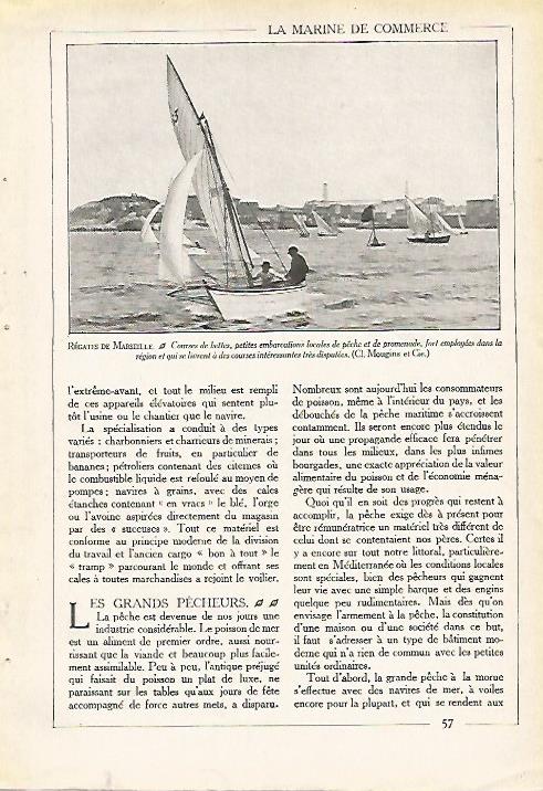LAMINA 3918: REGATAS EN MARSELLA