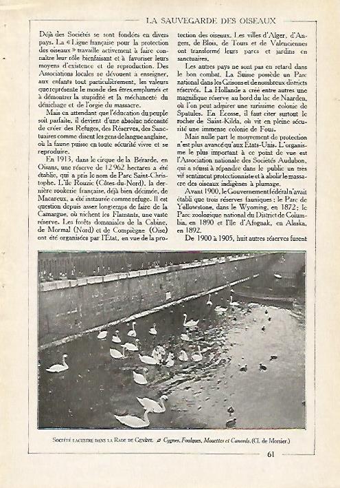 LAMINA 4079: SOCIETE LACUSTRE EN LA RADE DE GENOVA