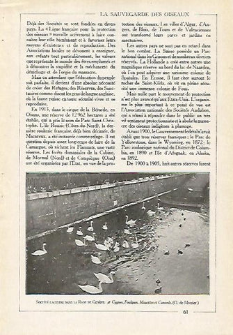 LAMINA 4079: SOCIETE LACUSTRE EN LA RADE DE GENOVA