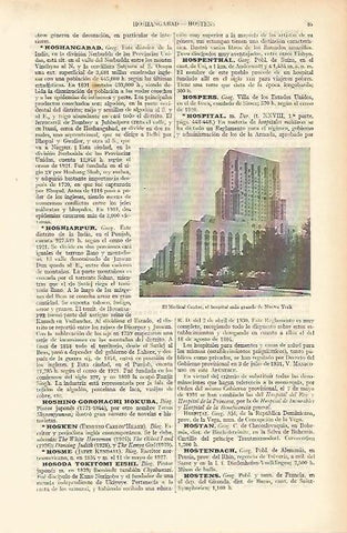 LAMINA ESPASA 9189: El Medical Center de Nueva York