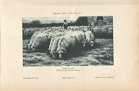 LAMINA ESPASA 9197: Salida del redil por L. Casimiro de Iborra