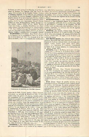 LAMINA ESPASA 9288: Campamento de beduinos por Kunnert