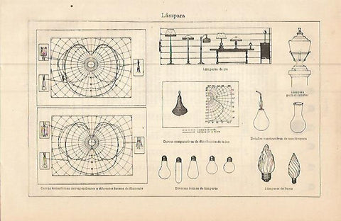 LAMINA ESPASA 9294: Tipos de lampara
