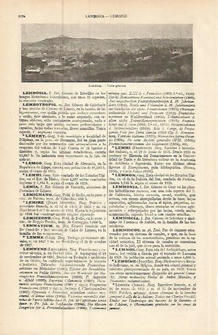LAMINA ESPASA 9313: Vista de Lemberg Francia