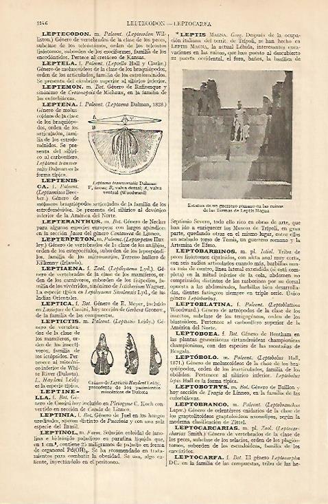 LAMINA ESPASA 9316: Ruinas de Leptis Magna Libia
