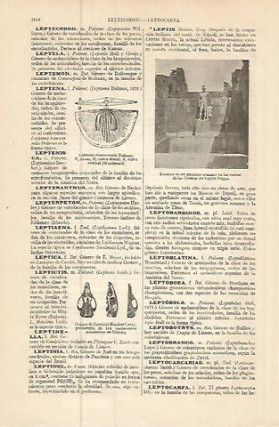 LAMINA ESPASA 9316: Ruinas de Leptis Magna Libia