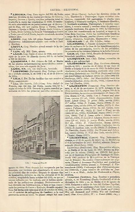 LAMINA ESPASA 9320: Casas modernas en Lila Francia
