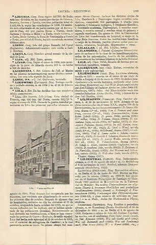 LAMINA ESPASA 9320: Casas modernas en Lila Francia