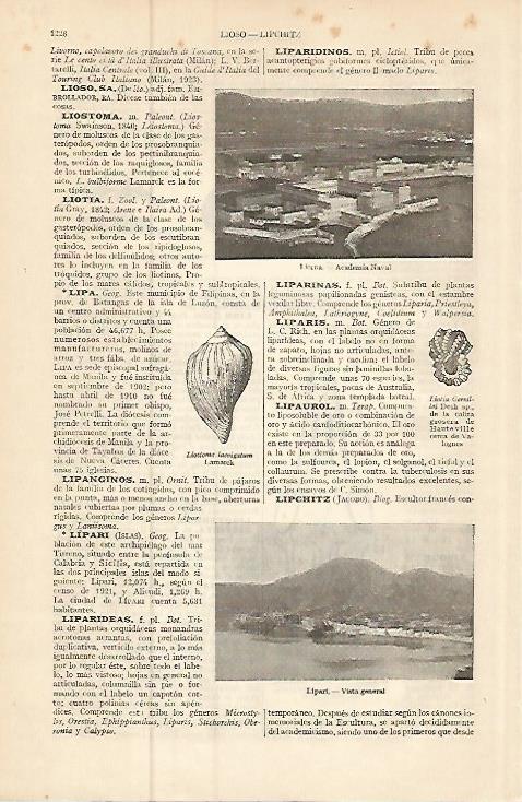 LAMINA ESPASA 9323: Academia Naval de Liorna Italia