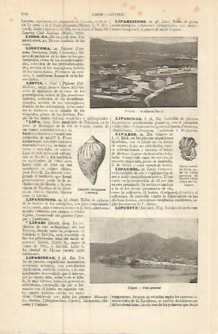 LAMINA ESPASA 9323: Academia Naval de Liorna Italia