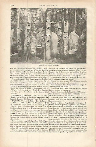 LAMINA ESPASA 9392: Idolos de las Nuevas Hebridas
