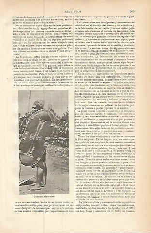 LAMINA ESPASA 9437: Guerrero niam-niam