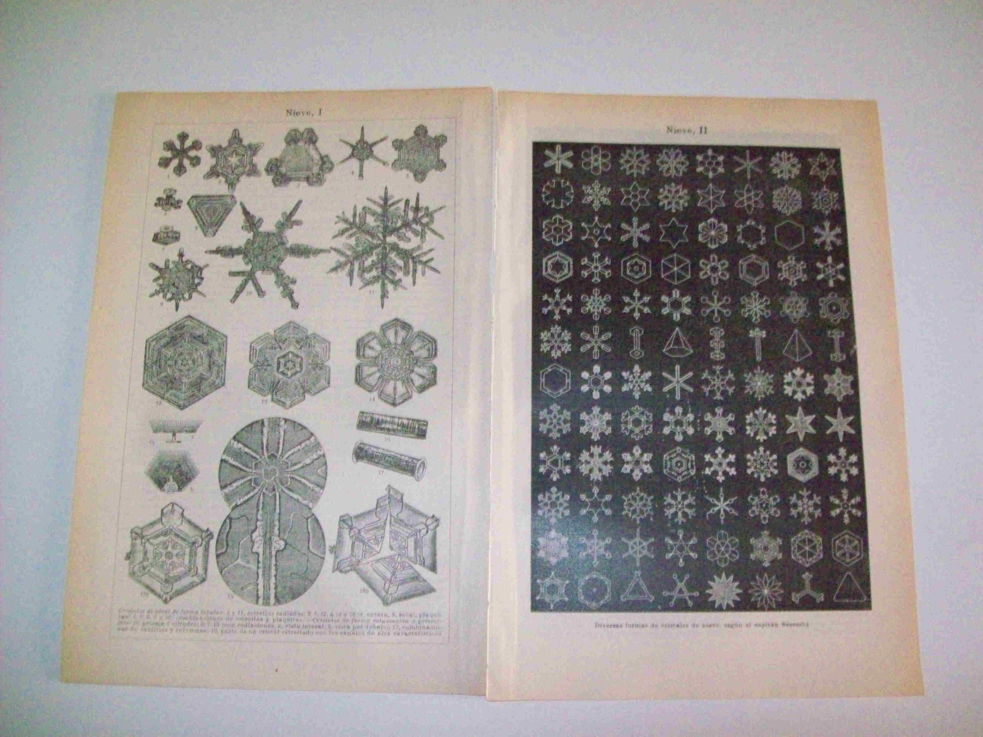 LAMINA ESPASA 9462: Cristales de nieve