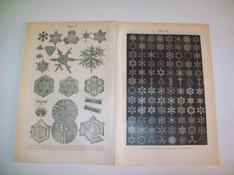 LAMINA ESPASA 9462: Cristales de nieve