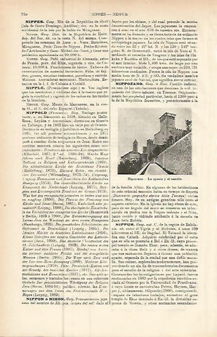 LAMINA ESPASA 9495: Iglesia y Castillo de Nipozzano Italia