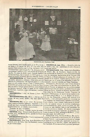 LAMINA ESPASA 9517: Nochebuena por Pidal