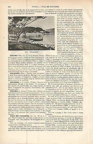 LAMINA ESPASA 9531: Vista general de Noli Italia