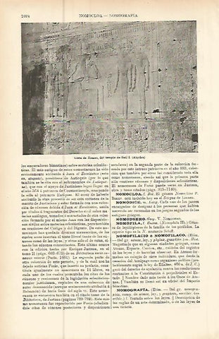 LAMINA ESPASA 9533: Lista de Nomos en el templo de Seti I Egipto