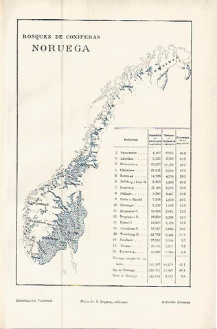 LAMINA ESPASA 9562: Mapa de Noruega de bosques de coniferas