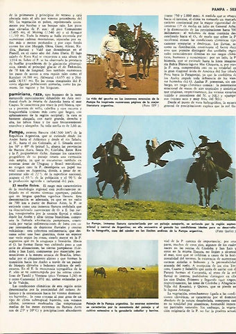 LAMINA MONITOR 0012:  VISTAS DE LA PAMPA ARGENTINA