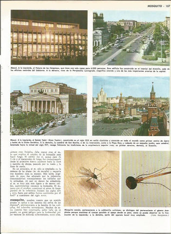 LAMINA MONITOR 0029: VISTAS DE MOSCU. MOSQUITO COMUN