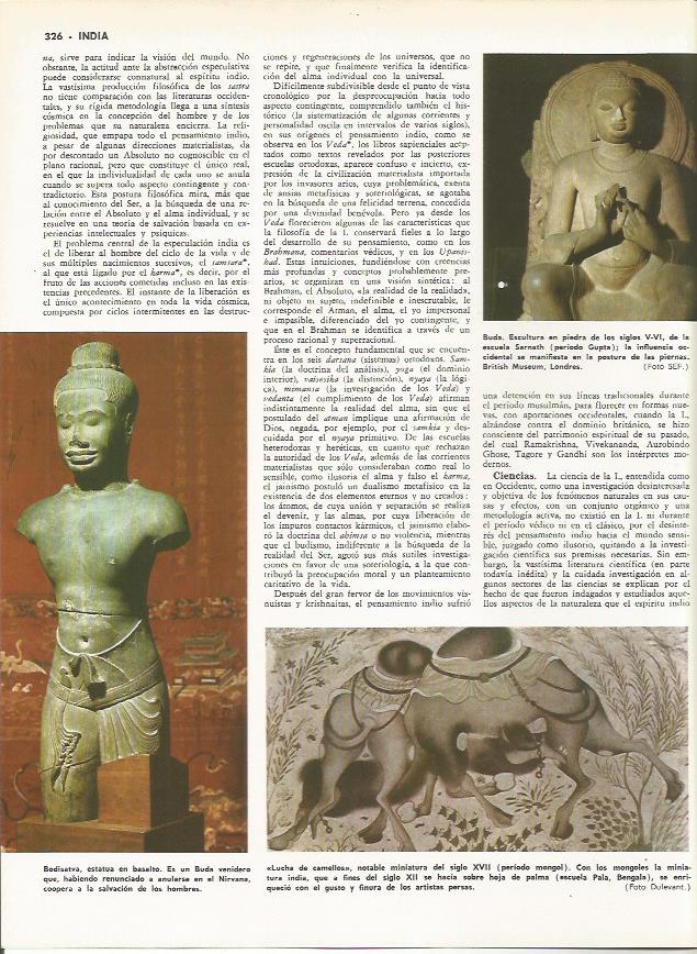 LAMINA MONITOR 0104: ARTE DE LA INDIA