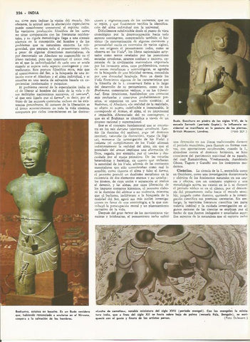 LAMINA MONITOR 0104: ARTE DE LA INDIA