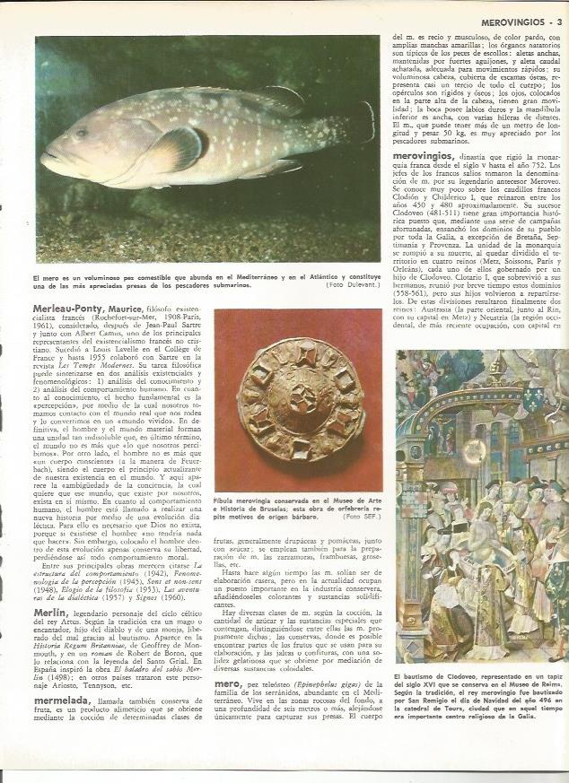 LAMINA MONITOR 0118: MERO. ARTE MEROVINGIO