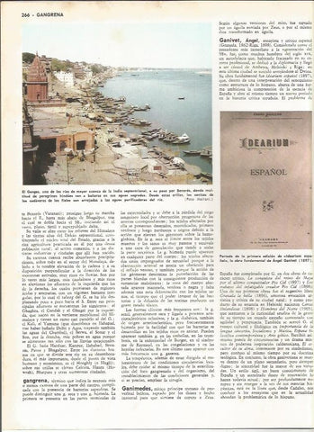LAMINA MONITOR 0209: EL GANGES